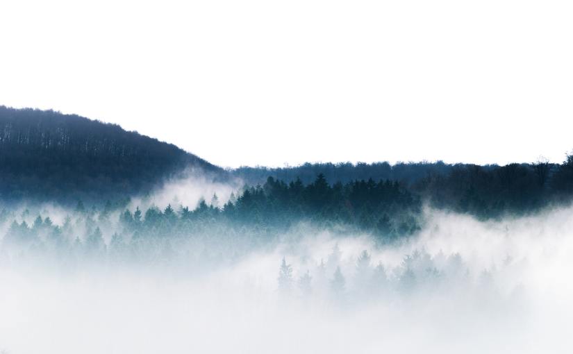 Words by Enna&nbsp;Mari