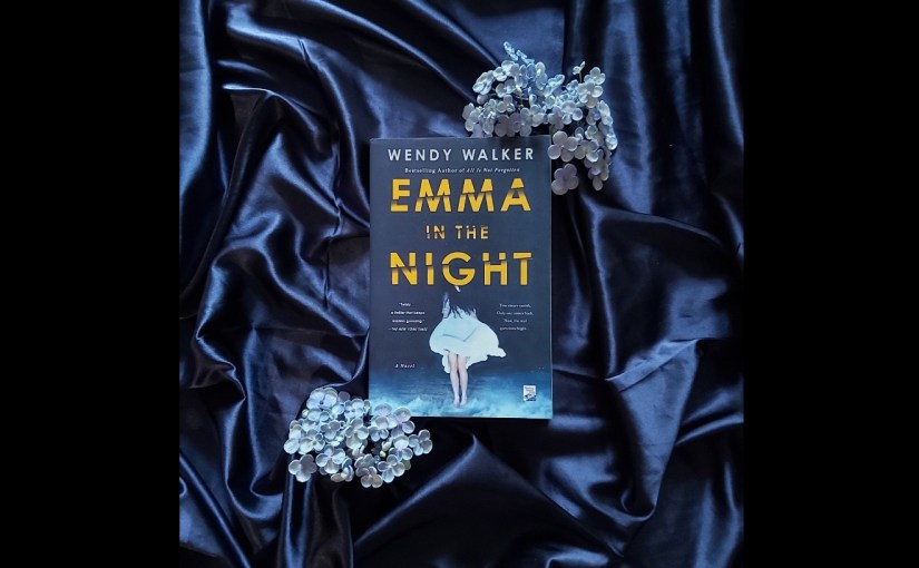 My favourite Books of 2021, part two. Emma in the night by Wendy&nbsp;Walker.